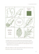 Load image into Gallery viewer, PLAY THE FOREST SCHOOL WAY
