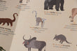 Load image into Gallery viewer, Activity - ANIMAL WORLD Poster &amp; Stickers