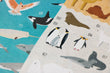 Load image into Gallery viewer, Activity - ANIMAL WORLD Poster &amp; Stickers