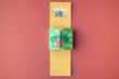 Load image into Gallery viewer, Pocket Puzzle - MY LITTLE JUNGLE