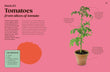 Load image into Gallery viewer, Grow Your Own Groceries - jiminy eco - toys