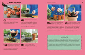 Grow Your Own Groceries - jiminy eco - toys