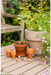 Load image into Gallery viewer, Medium Gift Box "Flowers For You" with 9 Seed Bombs - jiminy eco - toys
