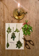 Load image into Gallery viewer, Mistletoe - Christmas Paper Decoration - jiminy eco - toys