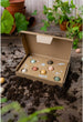Load image into Gallery viewer, Organic Gift Box "Dear Teacher" with 7 Blossombs Seed Bombs - jiminy eco - toys