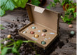 Load image into Gallery viewer, Organic Gift Box "Dear Teacher" with 7 Blossombs Seed Bombs - jiminy eco - toys