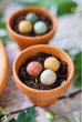 Load image into Gallery viewer, Organic Give - Away "Thank You" with 2 Blossombs Seed Bombs - jiminy eco - toys