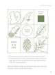 Load image into Gallery viewer, PLAY THE FOREST SCHOOL WAY - jiminy eco-toys