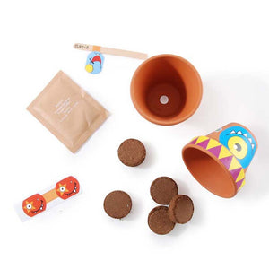 Birthday box - 10 monster pots - jiminy eco-toys