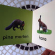 Load image into Gallery viewer, My First Book of Irish Wildlife (board book) - jiminy eco-toys