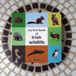 Load image into Gallery viewer, My First Book of Irish Wildlife (board book) - jiminy eco-toys