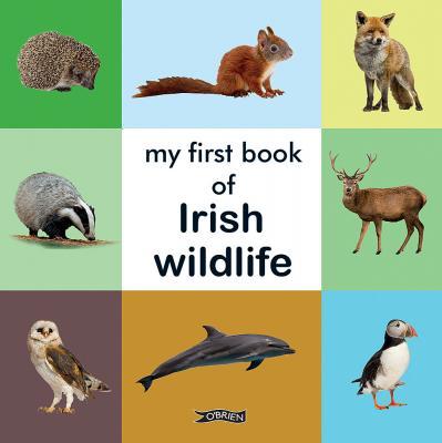 My First Book of Irish Wildlife (board book) - jiminy eco-toys