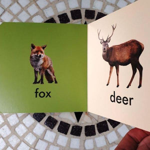 My First Book of Irish Wildlife (board book) - jiminy eco-toys
