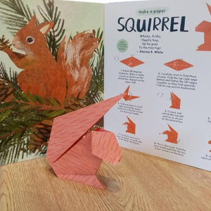 Nature Origami (a paperback book by Clover Robin) - jiminy eco-toys
