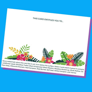 Plantable experience gift card - jiminy eco-toys