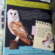Load image into Gallery viewer, The Great Big Book of Irish Wildlife (hardback book by Juanita Browne and Barry Reynolds) - jiminy eco-toys
