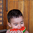 Load image into Gallery viewer, WALLY THE WATERMELON - jiminy eco-toys