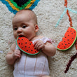 Load image into Gallery viewer, WALLY THE WATERMELON - jiminy eco-toys